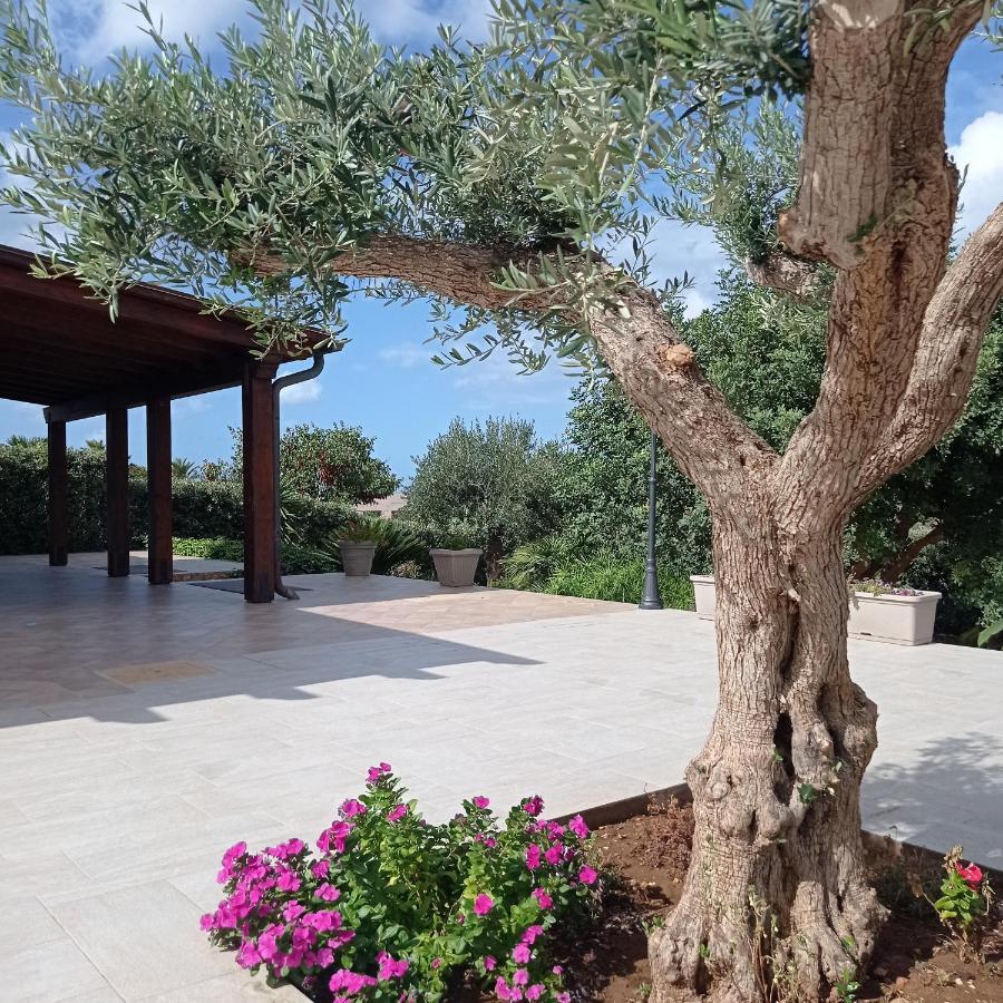 Villa Dei Colori Custonaci Εξωτερικό φωτογραφία